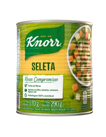 KNORR CONS SELETA 24X170G