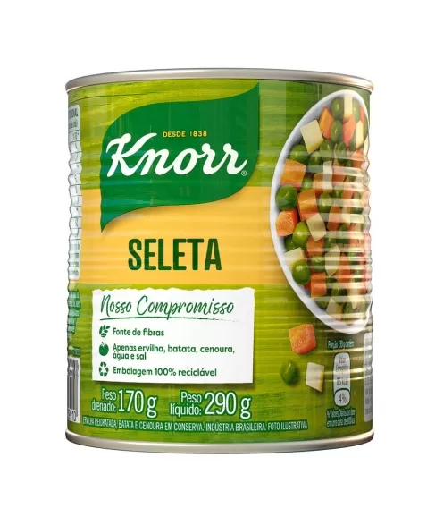 KNORR CONS SELETA 24X170G